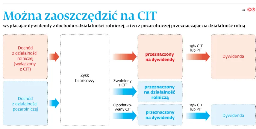 3006745-mozna-zaoszczedzic-na-cit.jpg