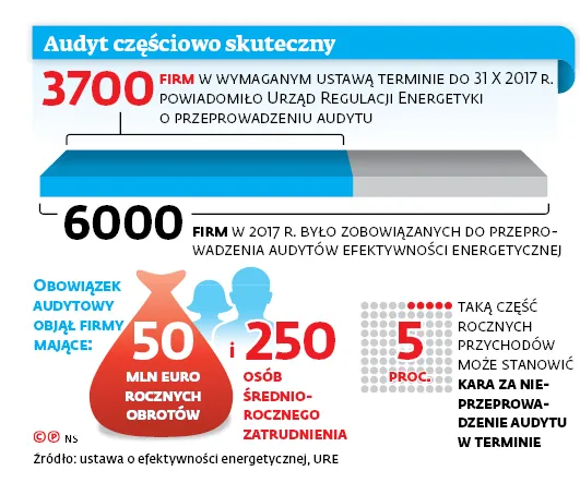 3147543-audyt-czesciowo-skuteczny.jpg
