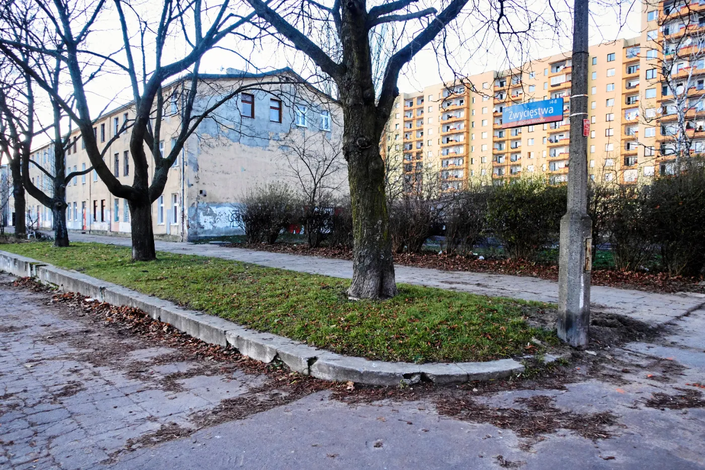 Plac Zwycięstwa - placem L. Kaczyńskiego? Radni Łodzi odwołają się do sądu