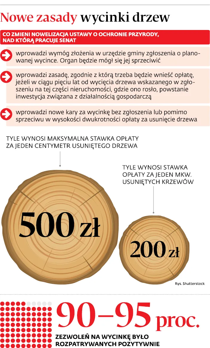 2909238-nowe-zasady-wycinki-drzew.jpg