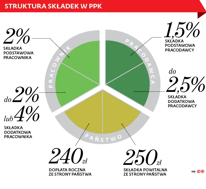 3261053-struktura-skladek-w-ppk.jpg