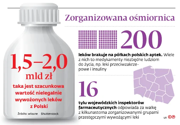 3289436-zorganizowana-osmiornica.jpg