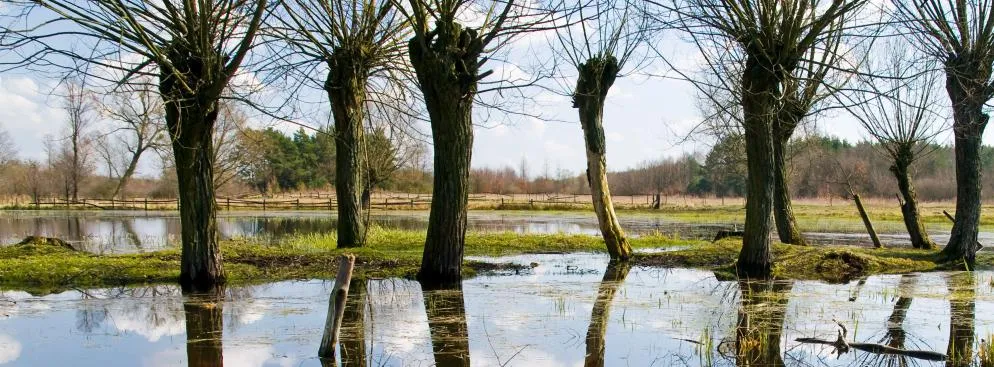 Budowa w parku narodowym pod kontrolą