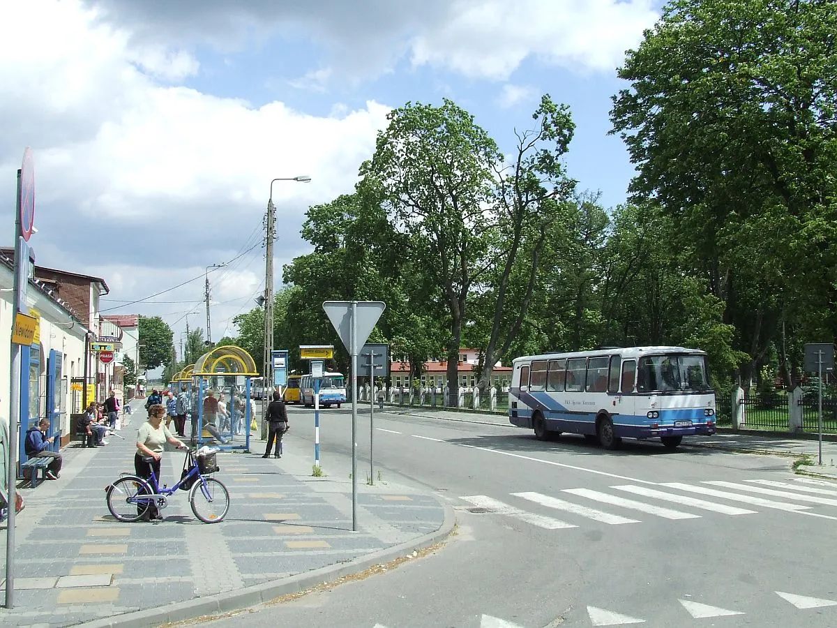 Polityka transportowa to ruch w dobrym kierunku. Ale za późny i chaotyczny