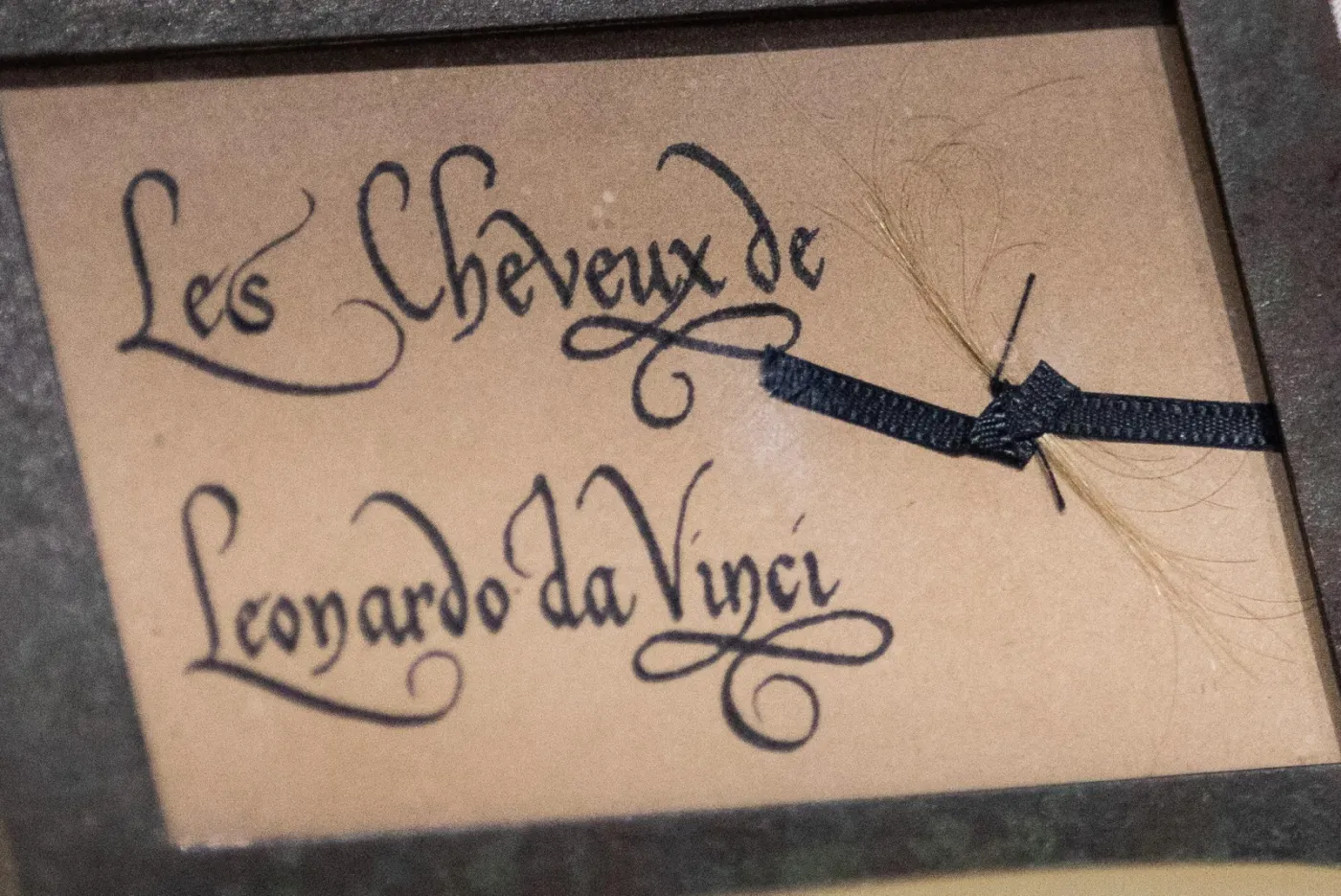 4208709-leonardo-da-vinci-rocznica.jpg