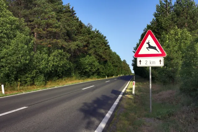 1,3 mld zł na budowę oraz remonty dróg gminnych i powiatowych