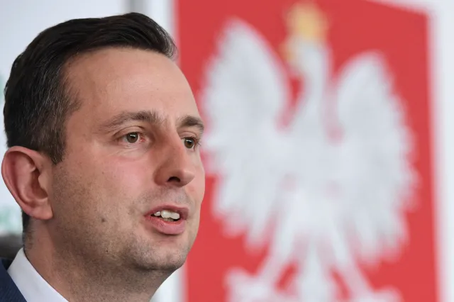 Wybory parlamentarne: Schetyna na premiera, Kamysz na prezydenta