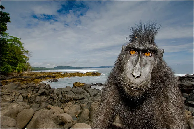 fr_wildlife004_133396a_701735.jpg