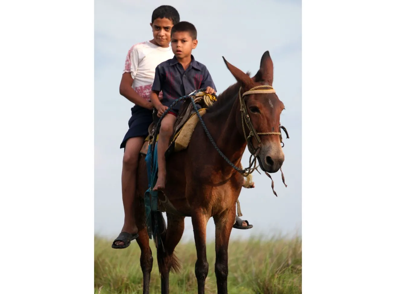 2136943-wenezuela-los-llanos.jpg