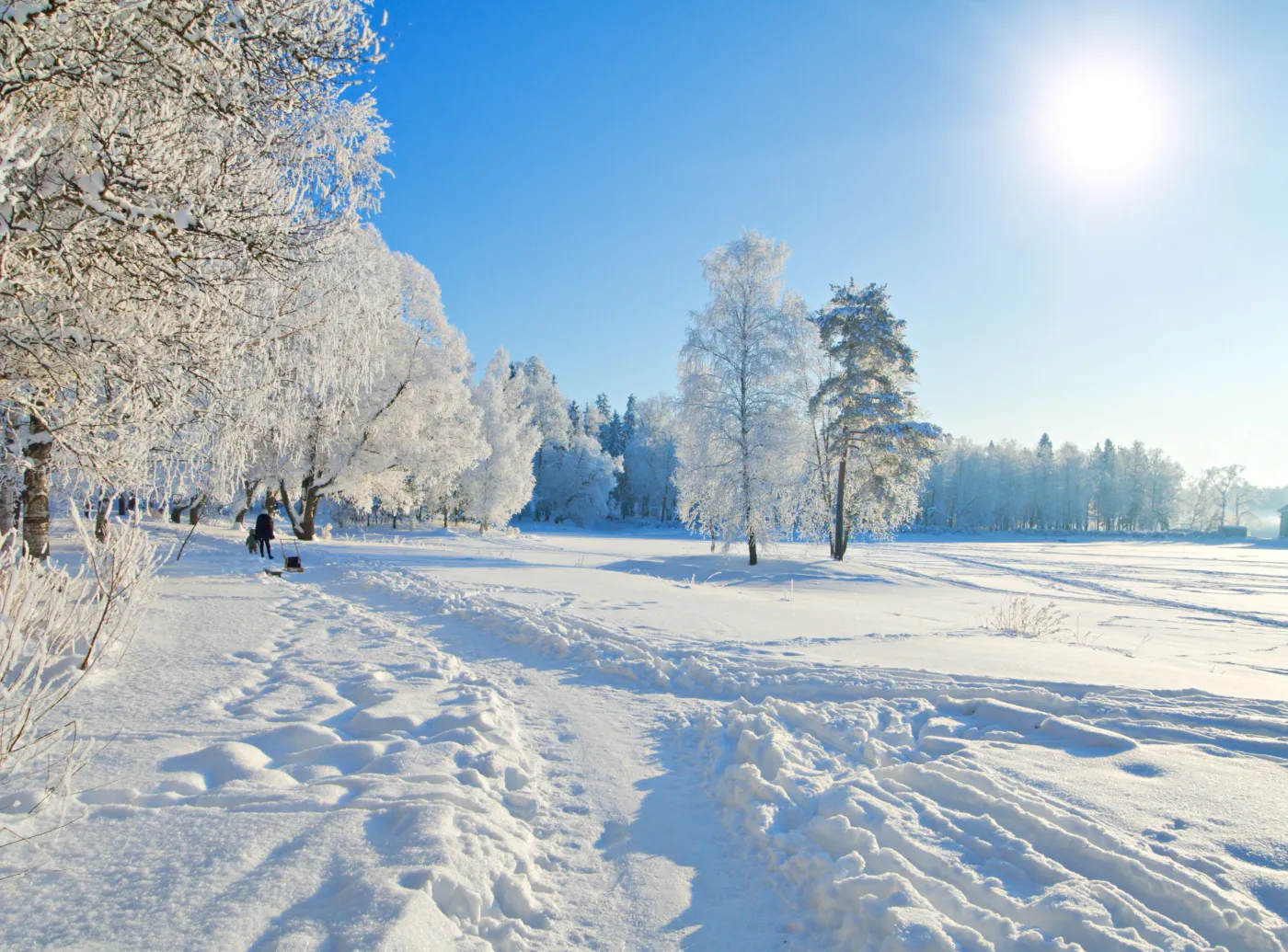 Styczeń będzie śnieżny i mroźny