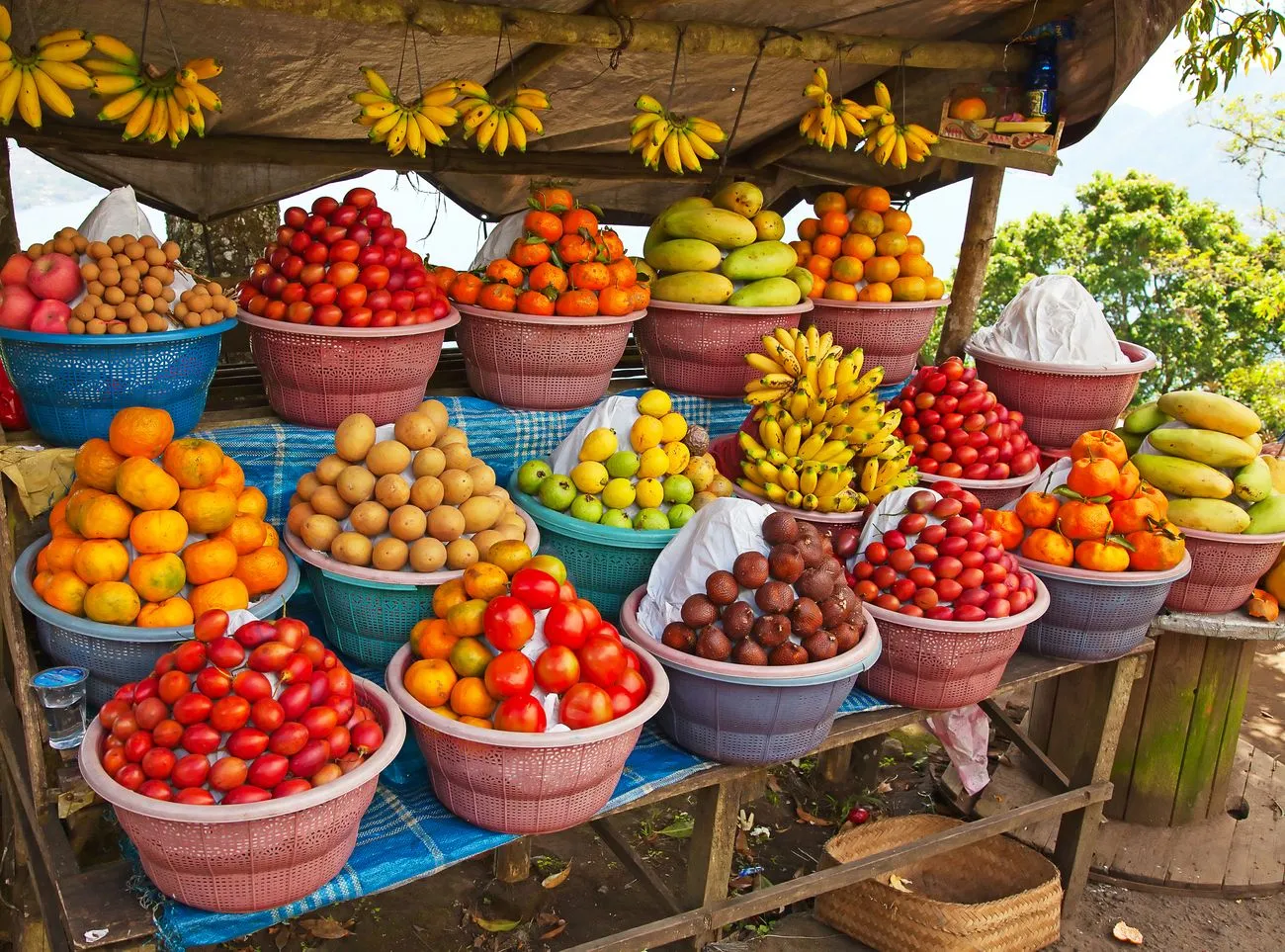 2532850-shutterstock-85241692.jpg