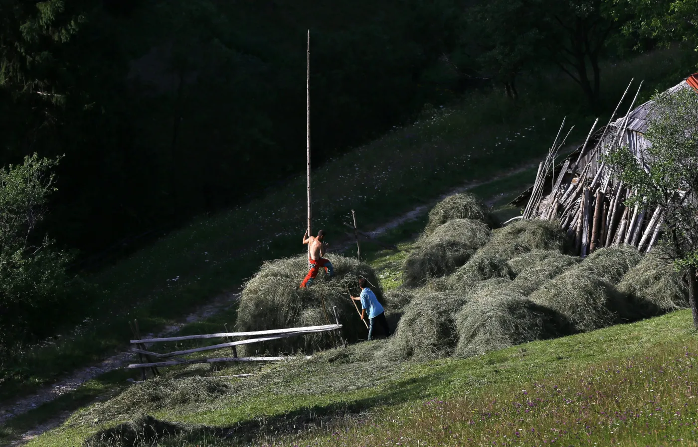 3871844-rumunia-transylwania.jpg