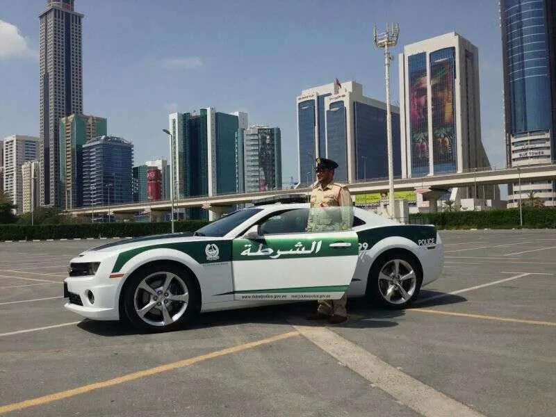 4858790-bgwcpfbcuae5xiw-large.jpg