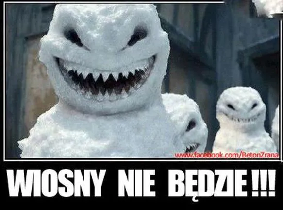 mem na temat wiosny