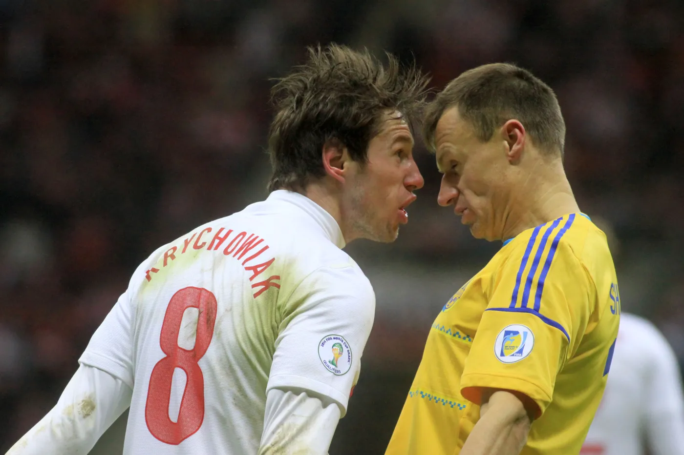 4767332-grzegorz-krychowiak.jpg
