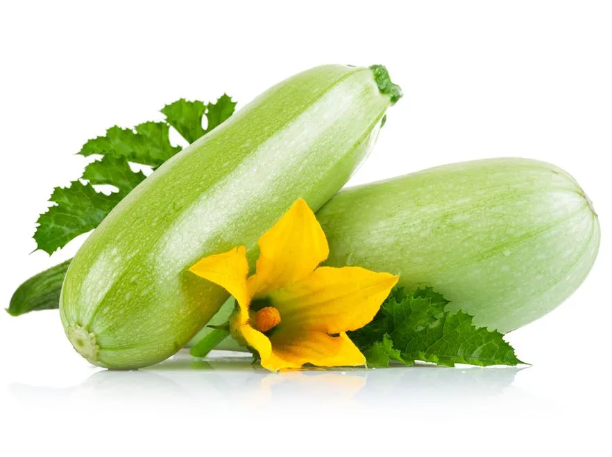 2383484-shutterstock-80078911.jpg
