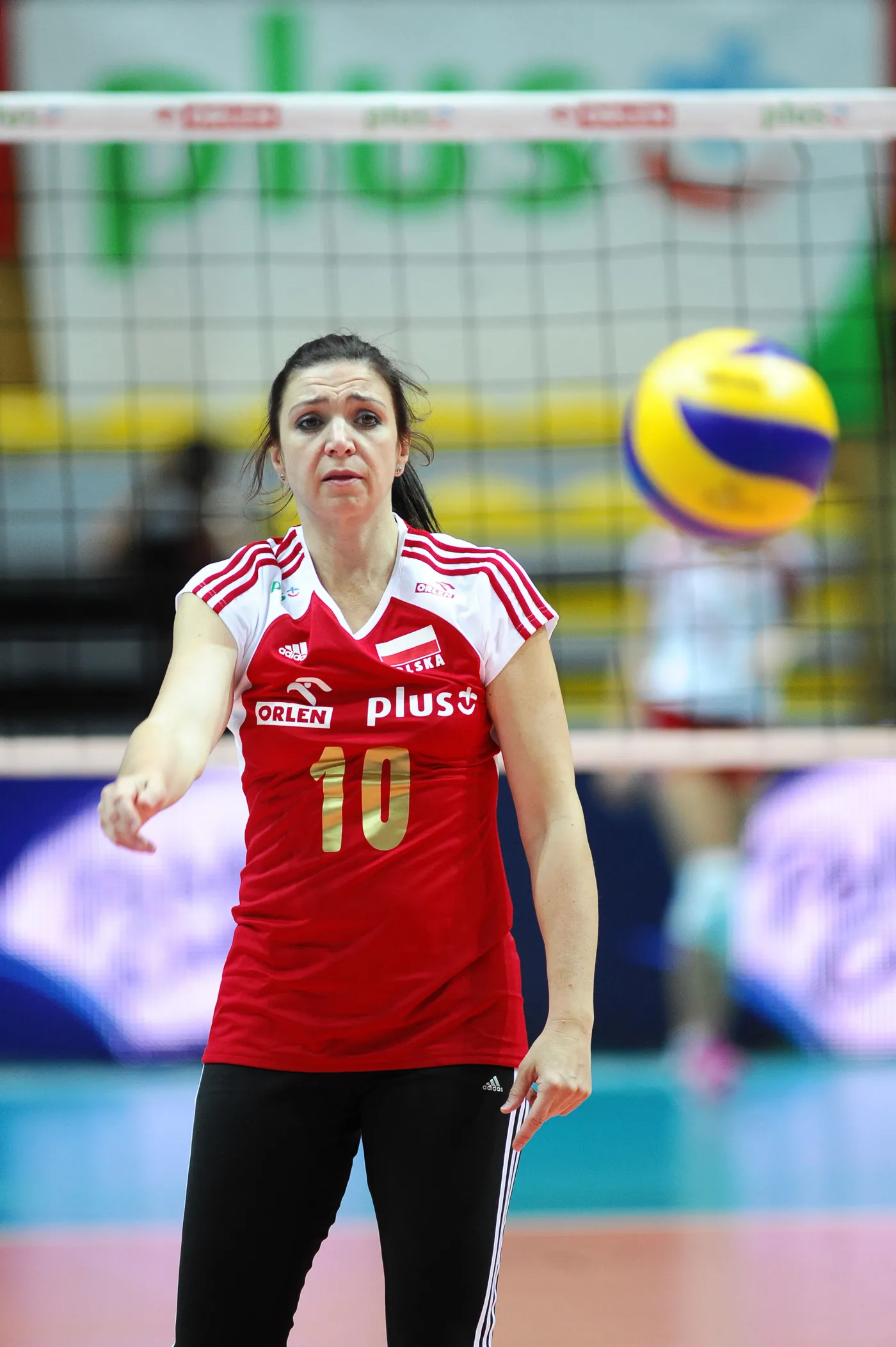 5446255-malgorzata-niemczyk.jpg