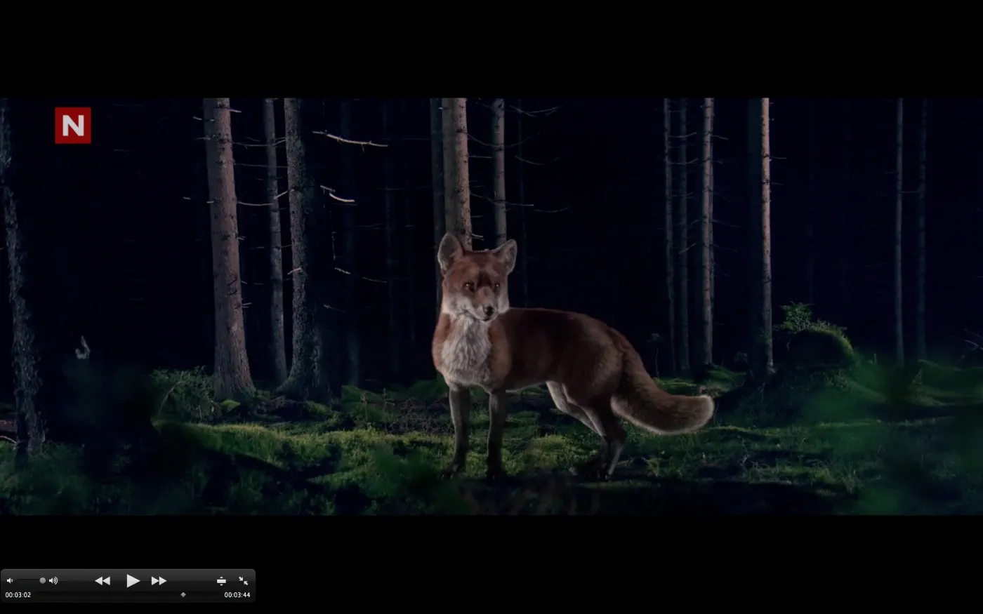5516709-what-does-the-fox-say.jpg