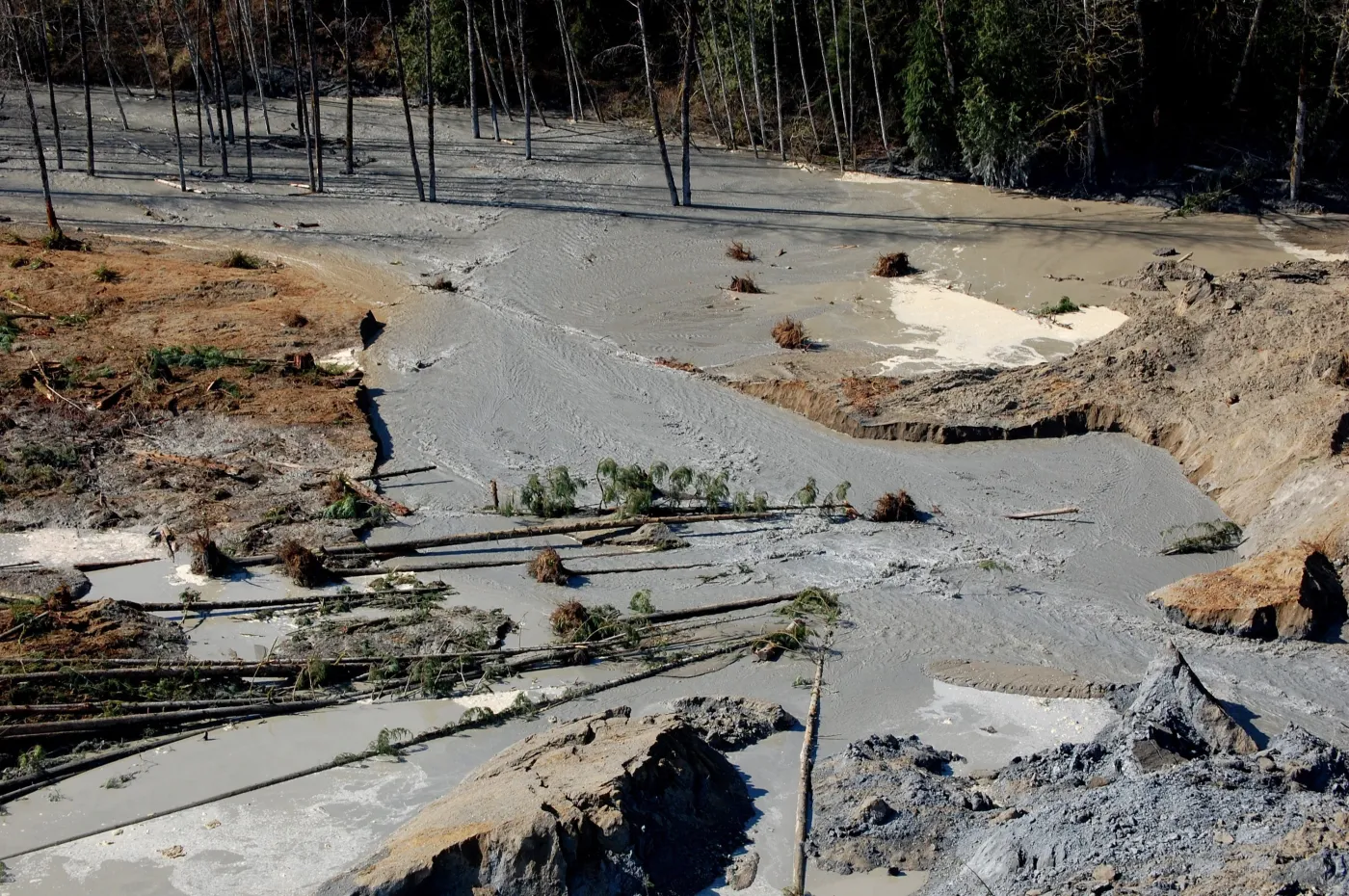6090132-lawina-blotna-w-usa.jpg