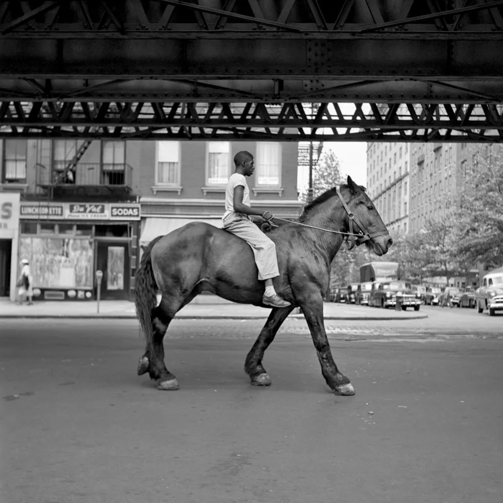 6259088-szukajac-vivian-maier.jpg