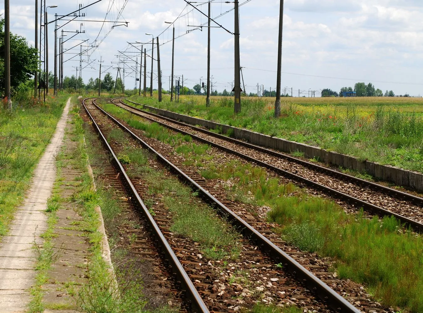 Zaskakująca decyzja na torach. Tego nikt się nie spodziewał