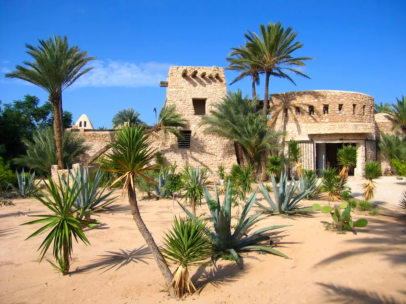 6289675-dzerba-djerba-tunezja.jpg