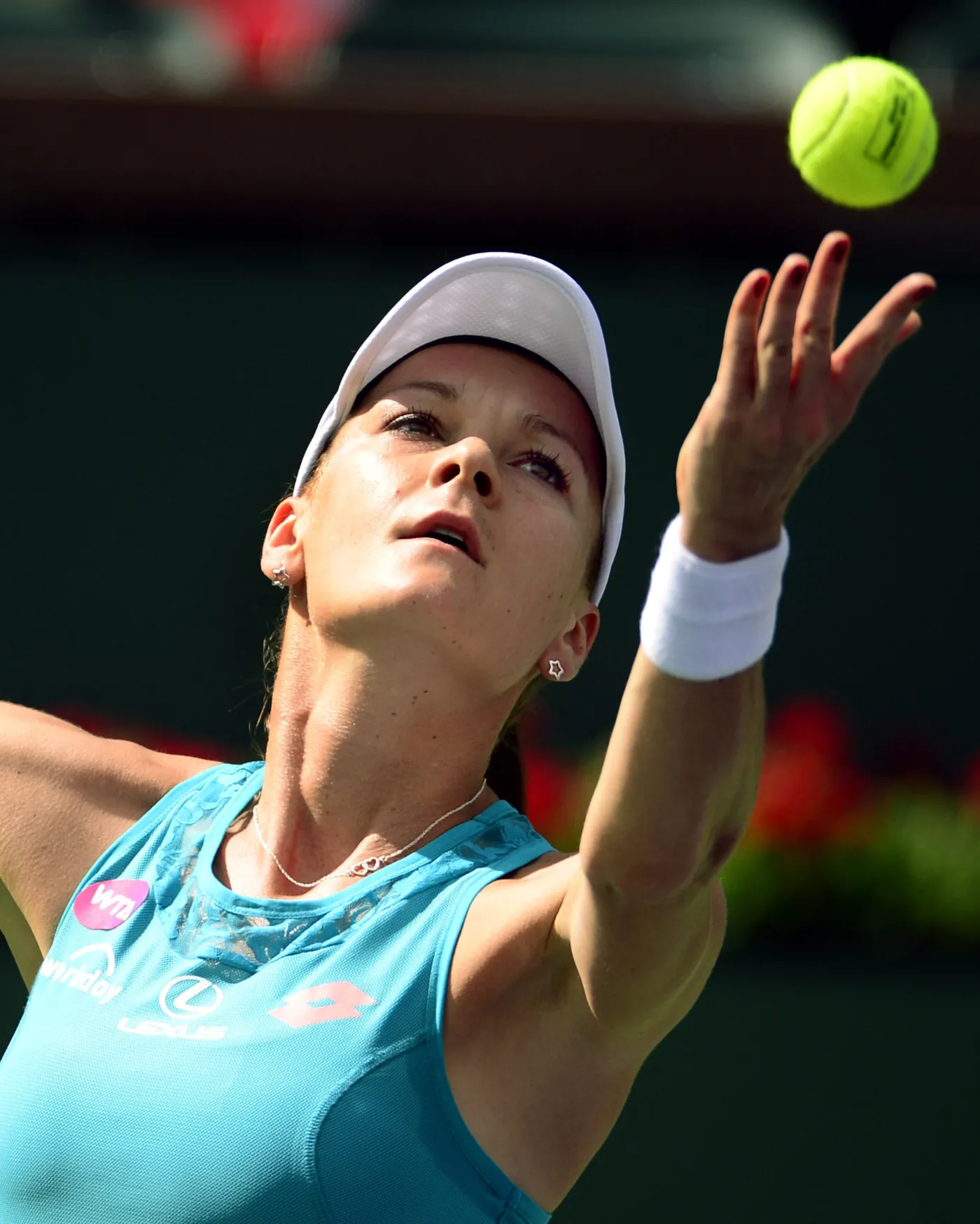 7543352-agnieszka-radwanska.jpg