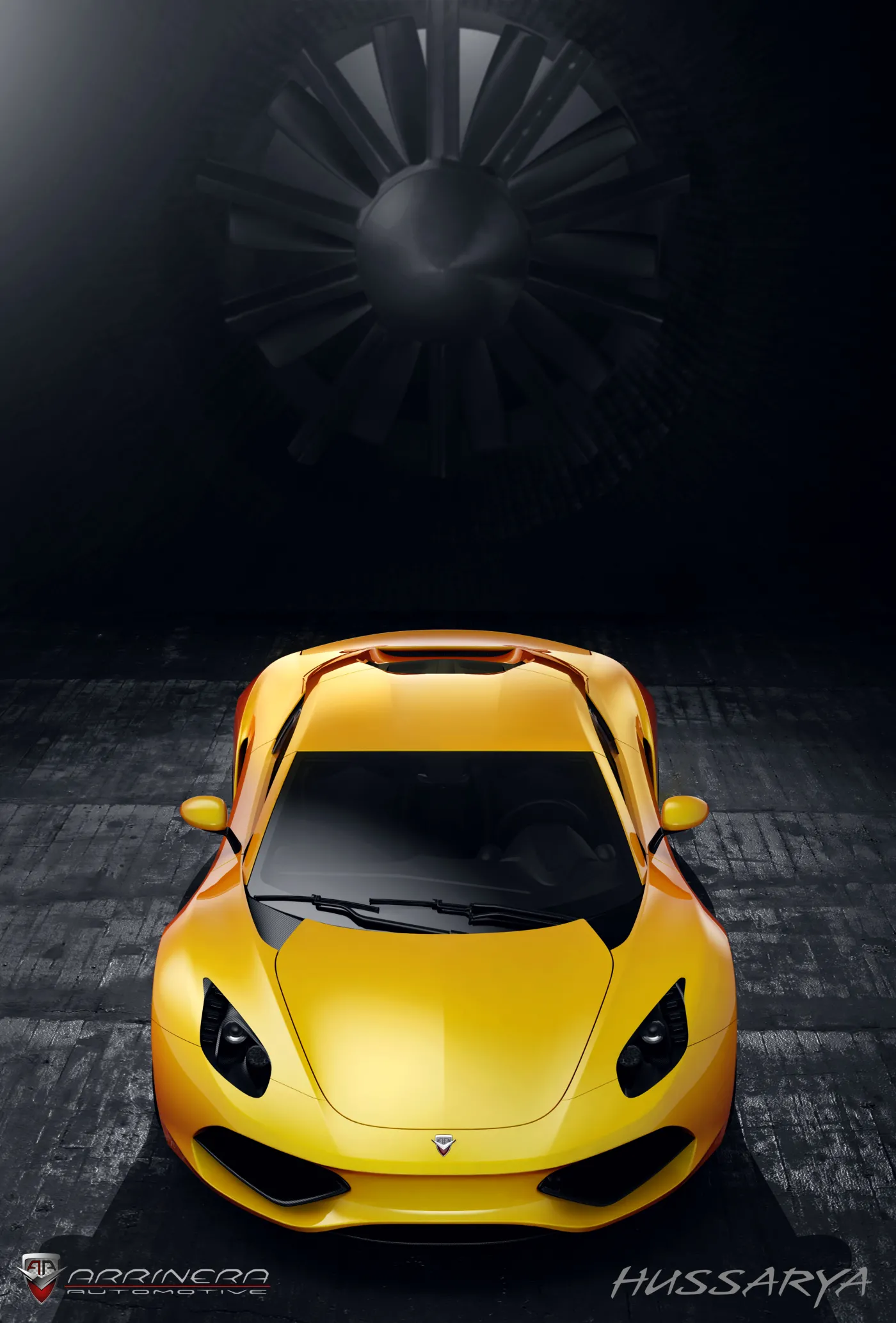 6162291-arrinera-hussarya-4.jpg