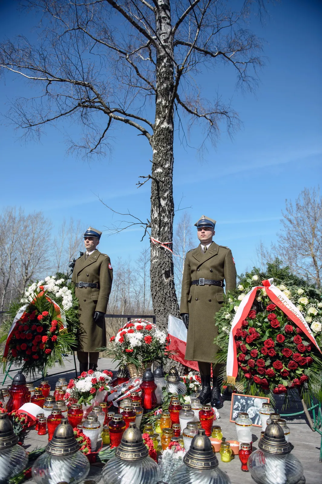 7642338-10-kwetnia-2015-roku.jpg