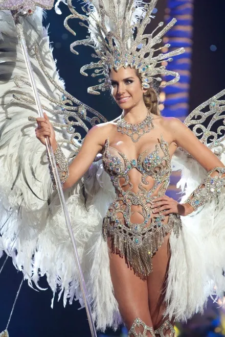 7339562-miss-argentyny-2014.jpg