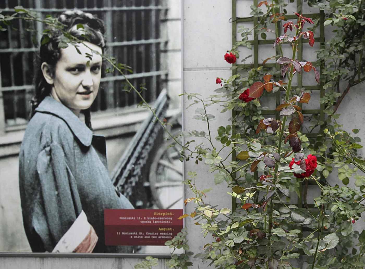 Dziewczyna-żołnierz. Zdjęcie z Parku Wolności w Muzeum Powstania Warszawskiego