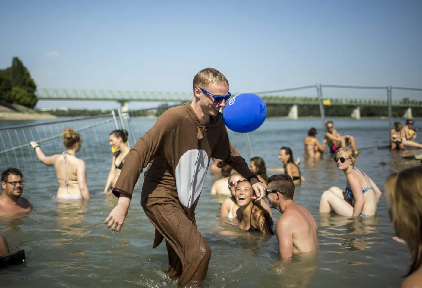 8085700-sziget-festival-2015.jpg