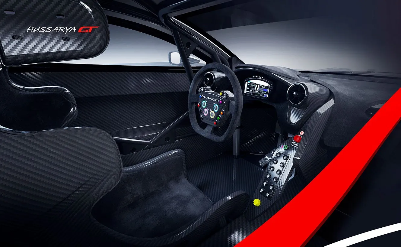 8636838-arrinera-hussarya-gt.jpg