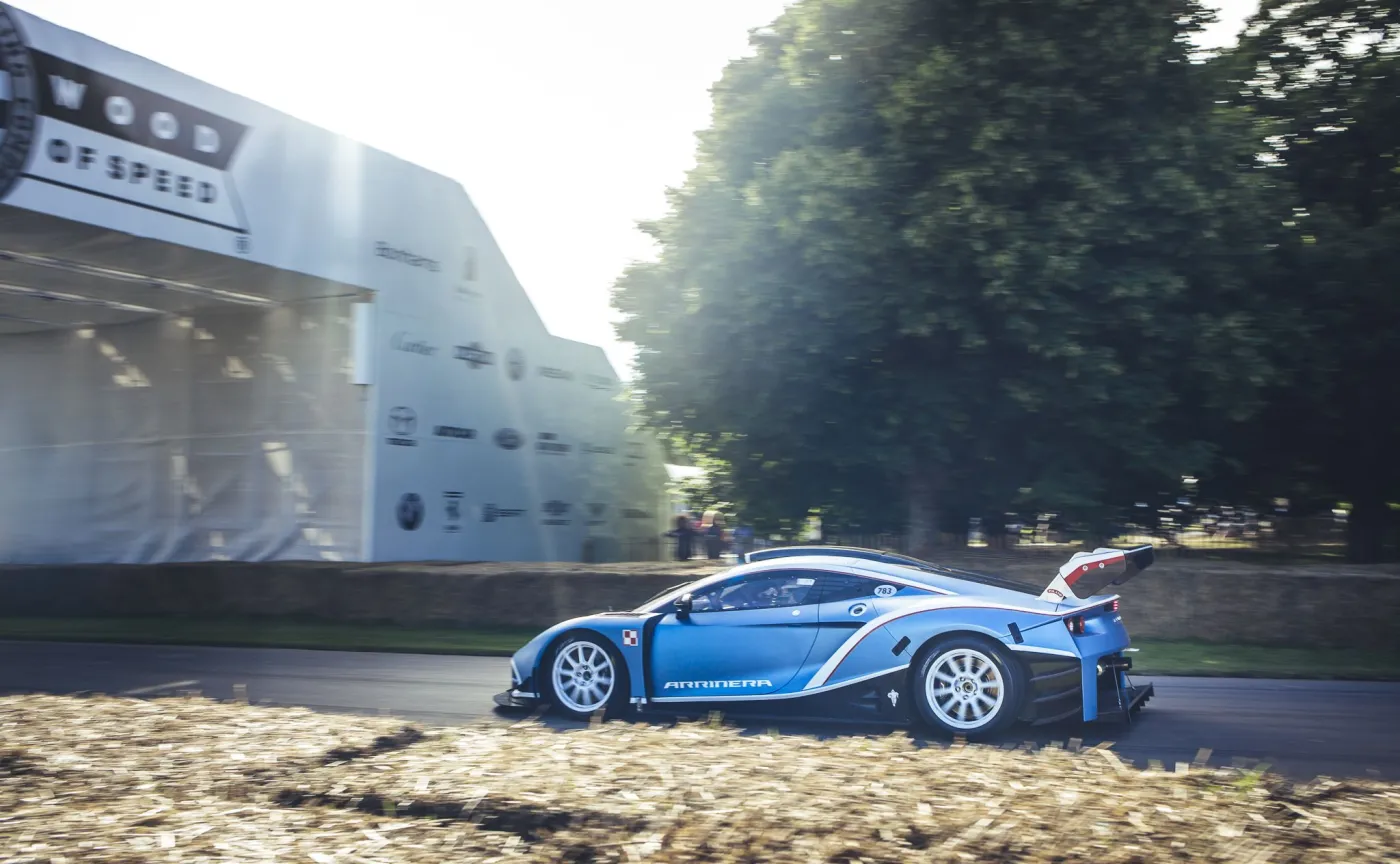 9221709-arrinera-hussarya-gt.jpg