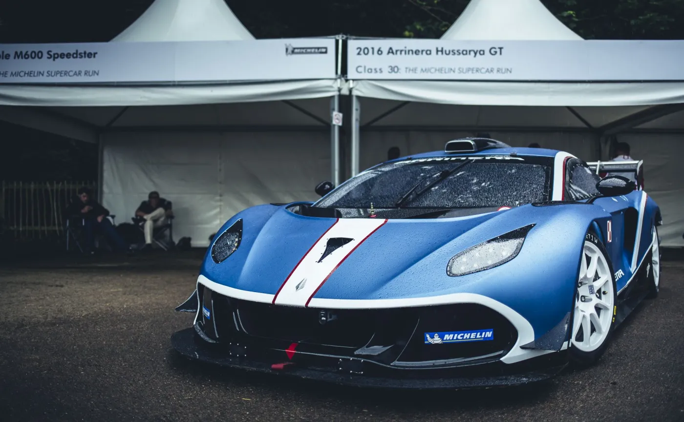 9221975-arrinera-hussarya-gt.jpg
