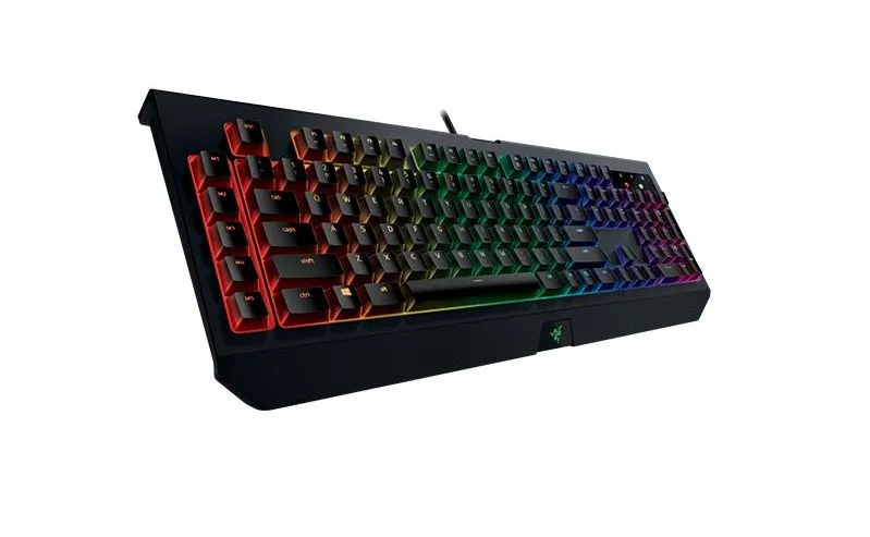 9987465-blackwidow-chroma-v2.jpg