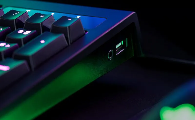 9988175-blackwidow-chroma-v2.jpg