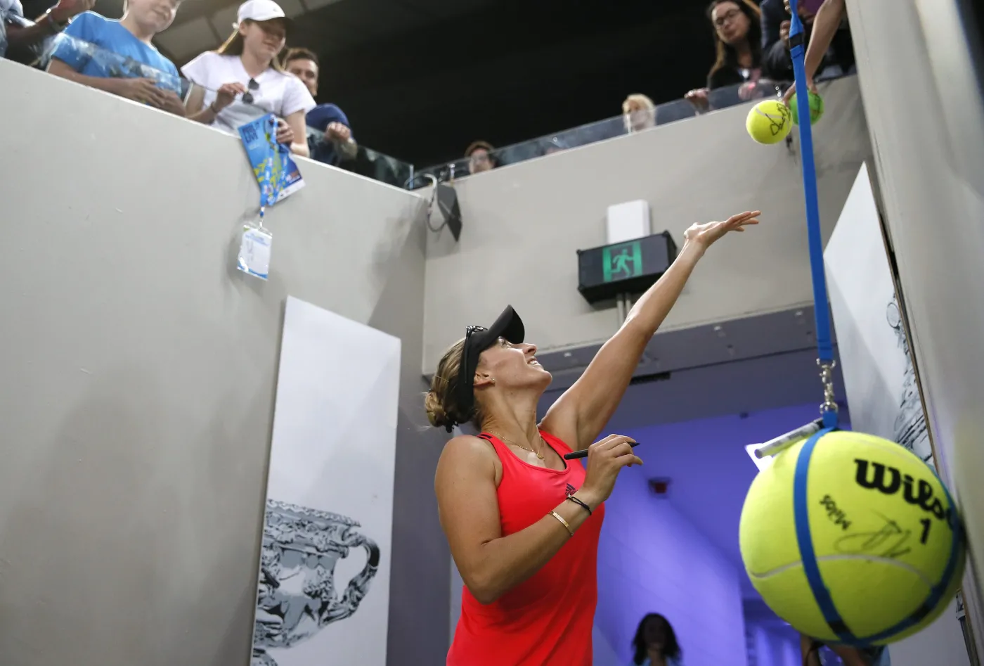 9804924-mirjana-lucic-baroni.jpg