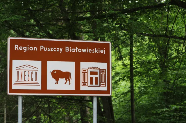 Pobito duszpasterza Lasów Państwowych? Policja wyjaśnia incydent w Puszczy Białowieskiej