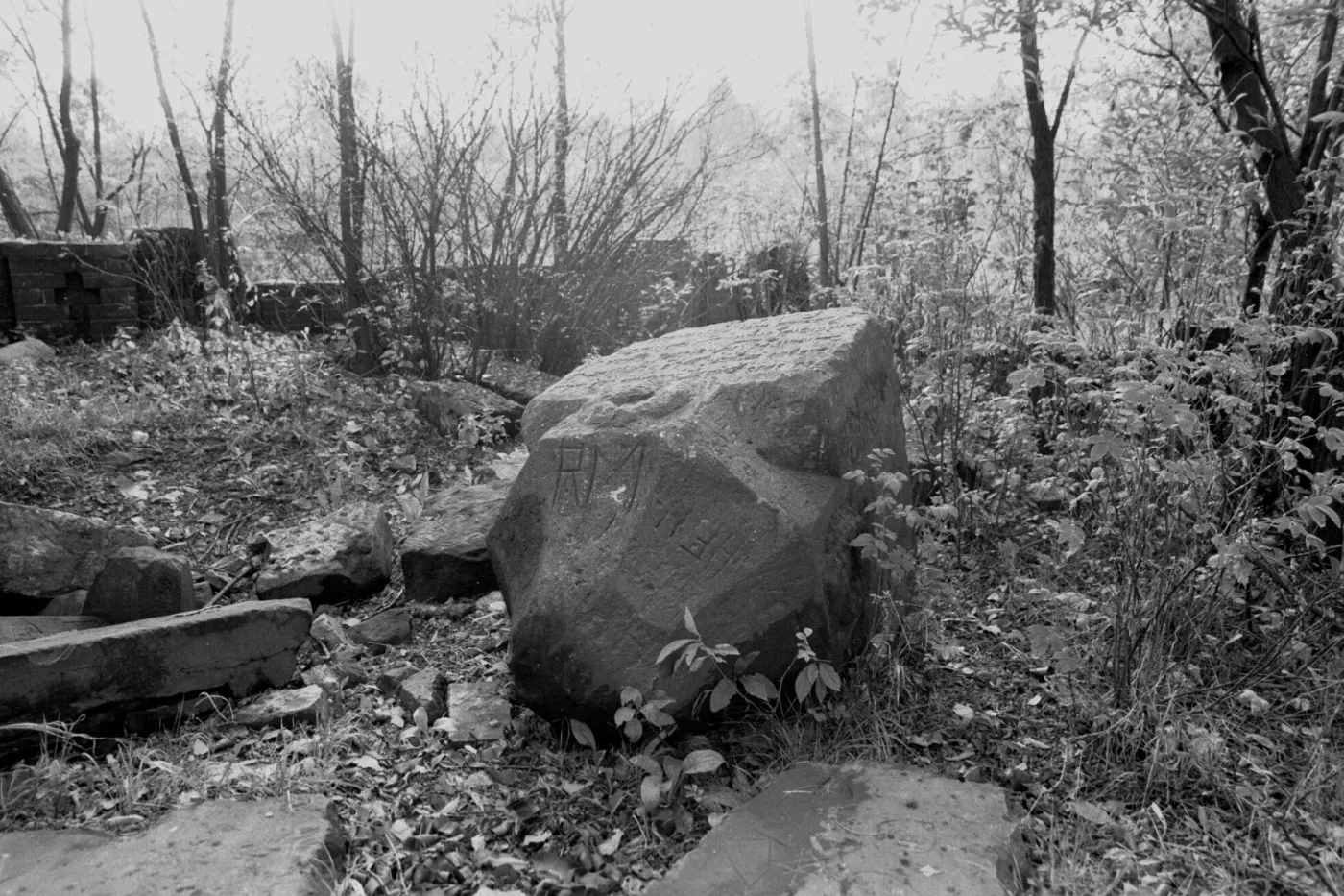 10464906-cmentarz-choleryczny.jpg