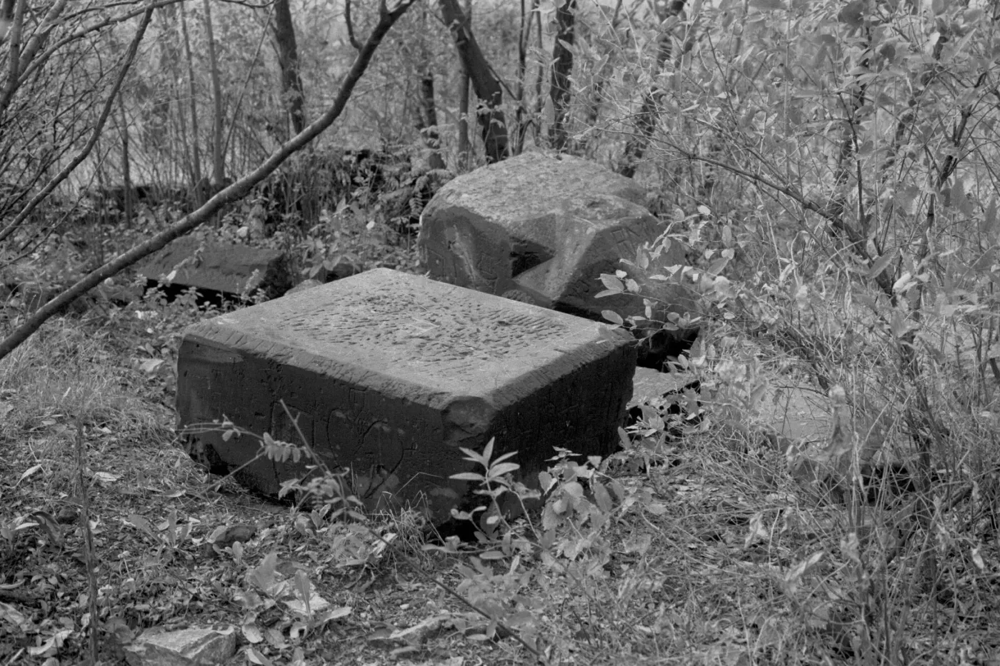10464938-cmentarz-choleryczny.jpg