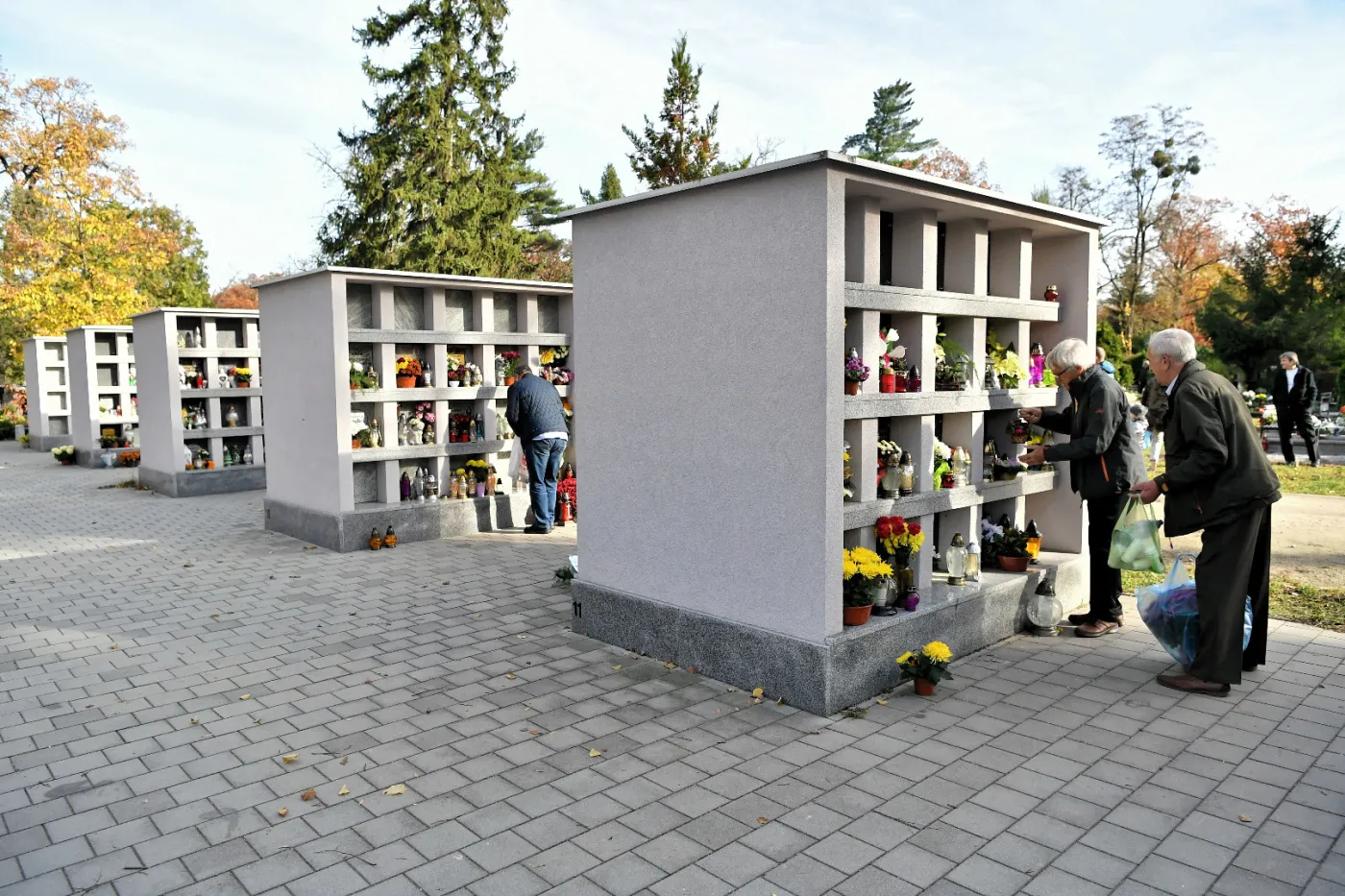 11668984-cmentarz-osobowicki.jpg