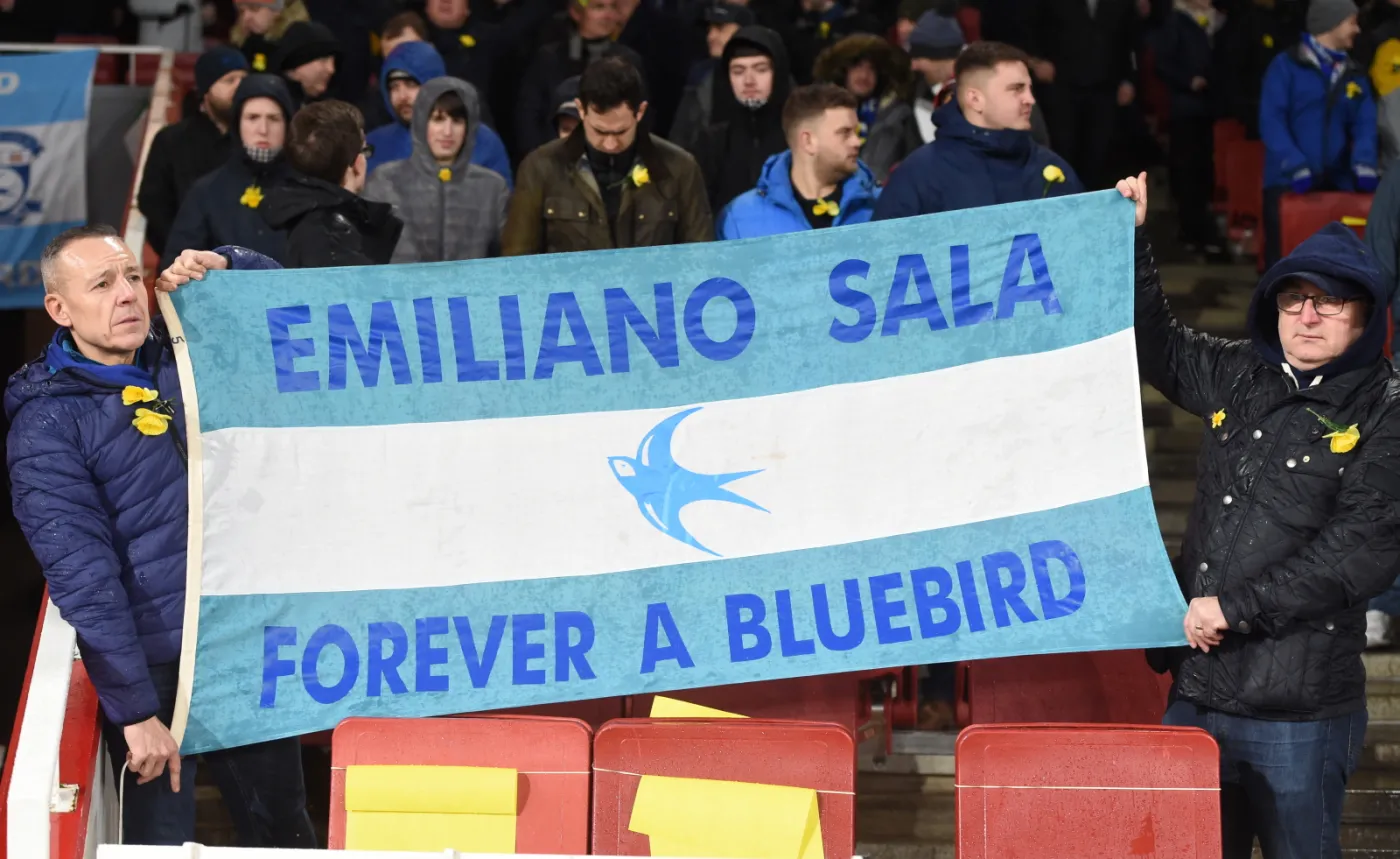 Kibice Cardiff City