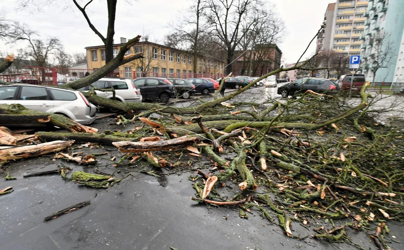 12172855-wichura-nad-polska.jpg