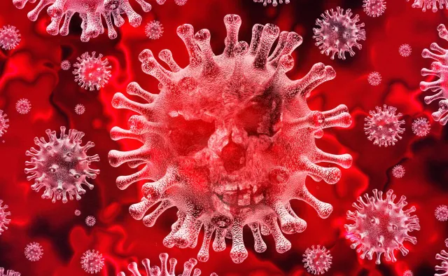 Pandemia w krajach Europy Wschodniej może zagrozić polskiemu eksportowi