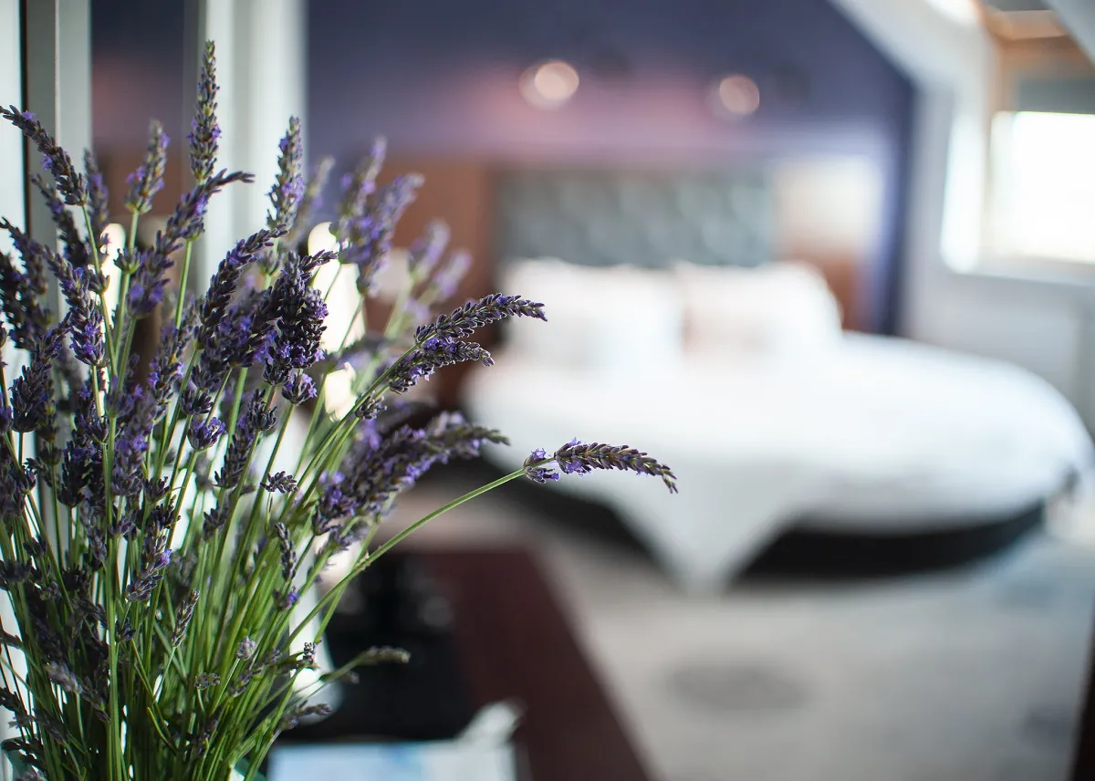 lavendowy