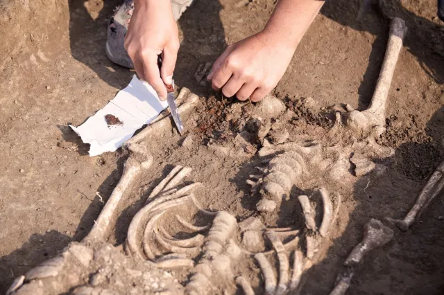 Prehistoryczną zagadkę rozszyfrował archeolog-amator. Chodzi o tajemnicze znaki