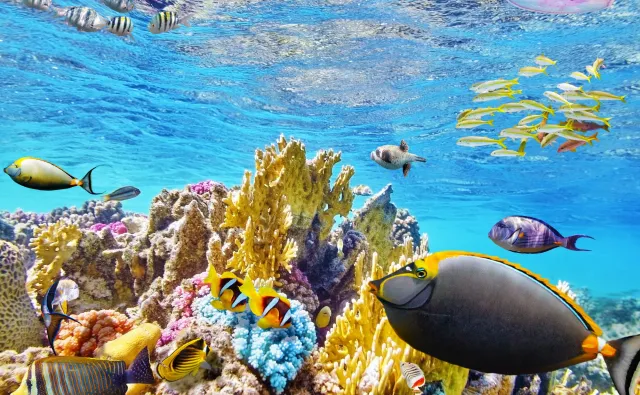 Niezwykłe odkrycie w pobliżu wysp Galapagos. Naukowcy zaskoczeni skalą