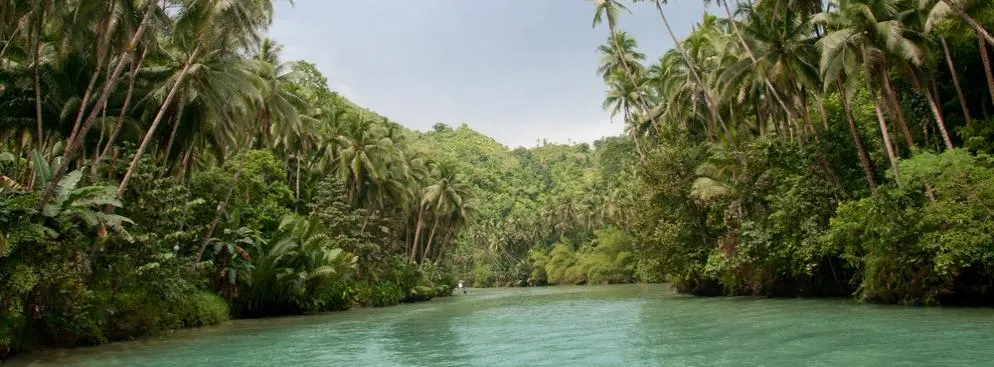 Greenpeace ostrzega: Amazonia wysycha. Drastyczny spadek poziomu rzek grozi katastrofą