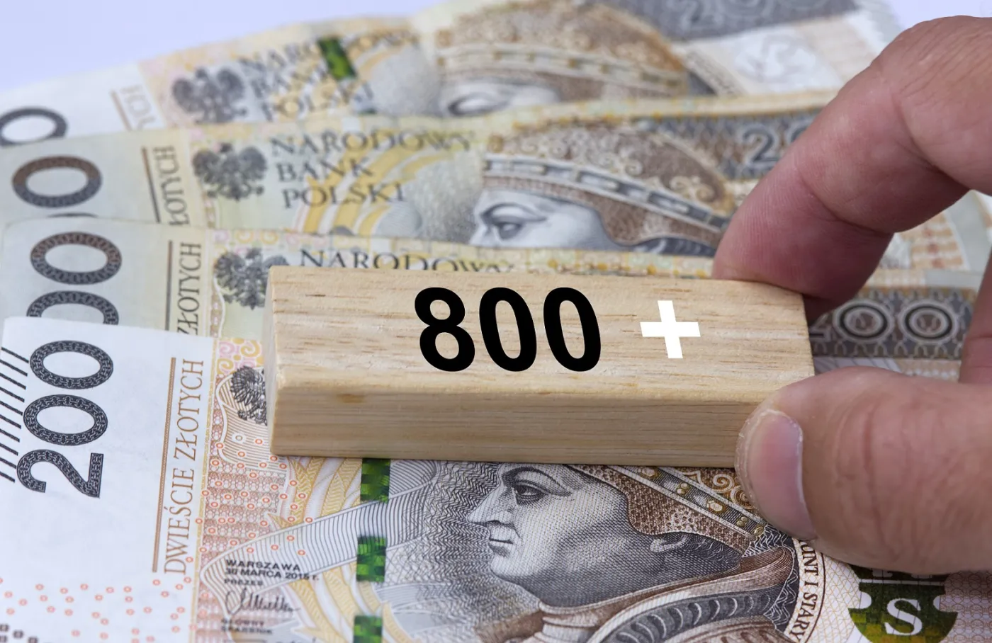 świadczenie 800 plus